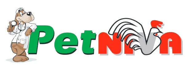 Petniva